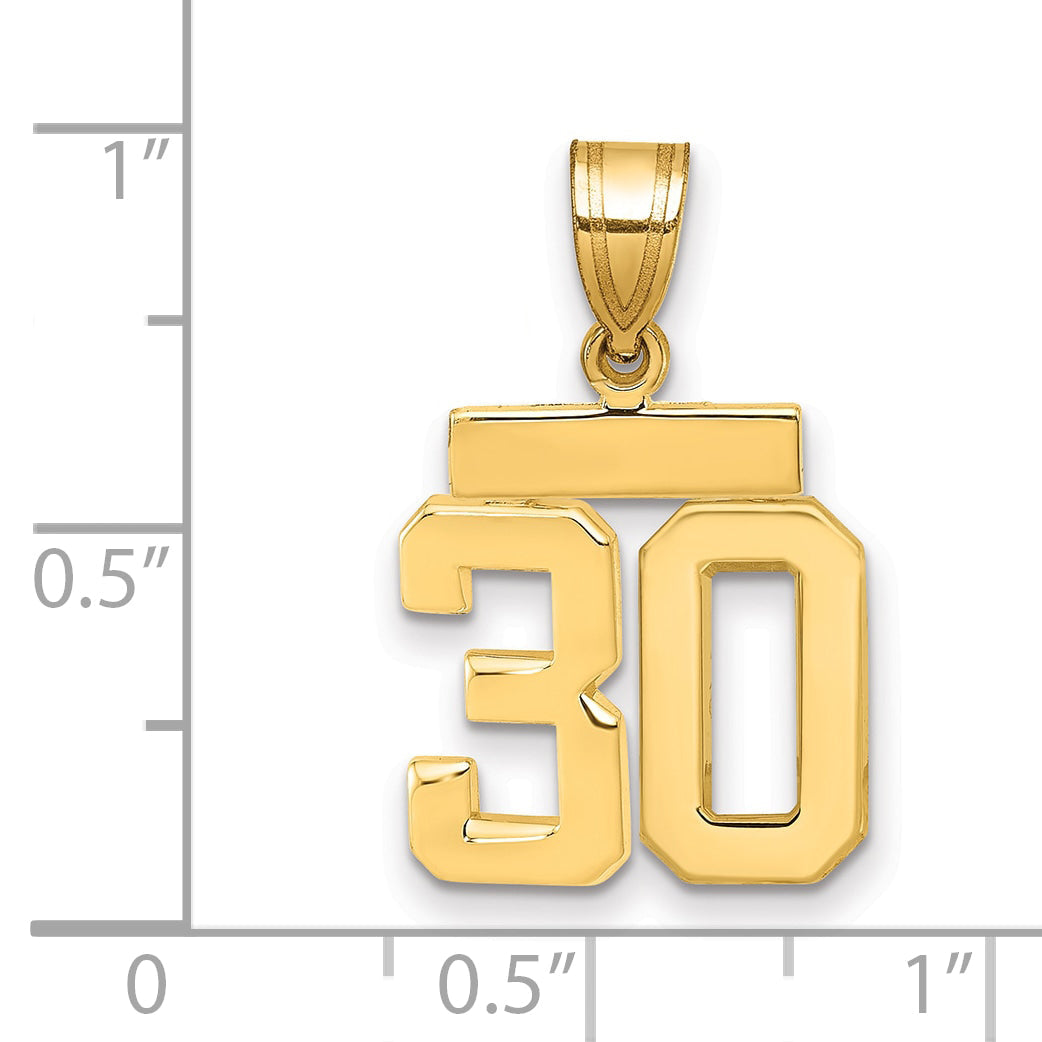 10K Yellow Gold Small Polished Number 30 Charm