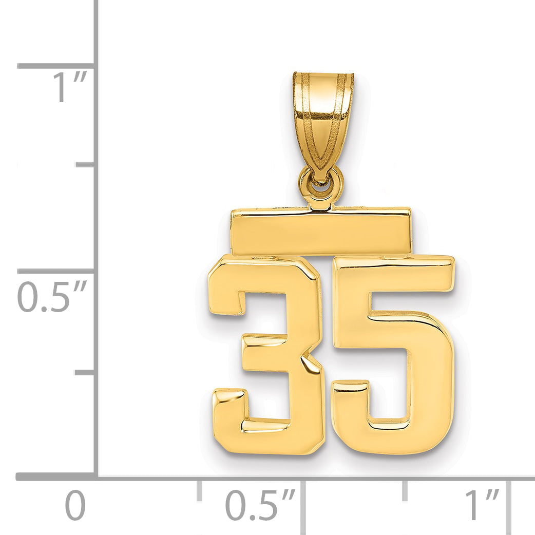 10K Yellow Gold Small Polished Number 35 Charm