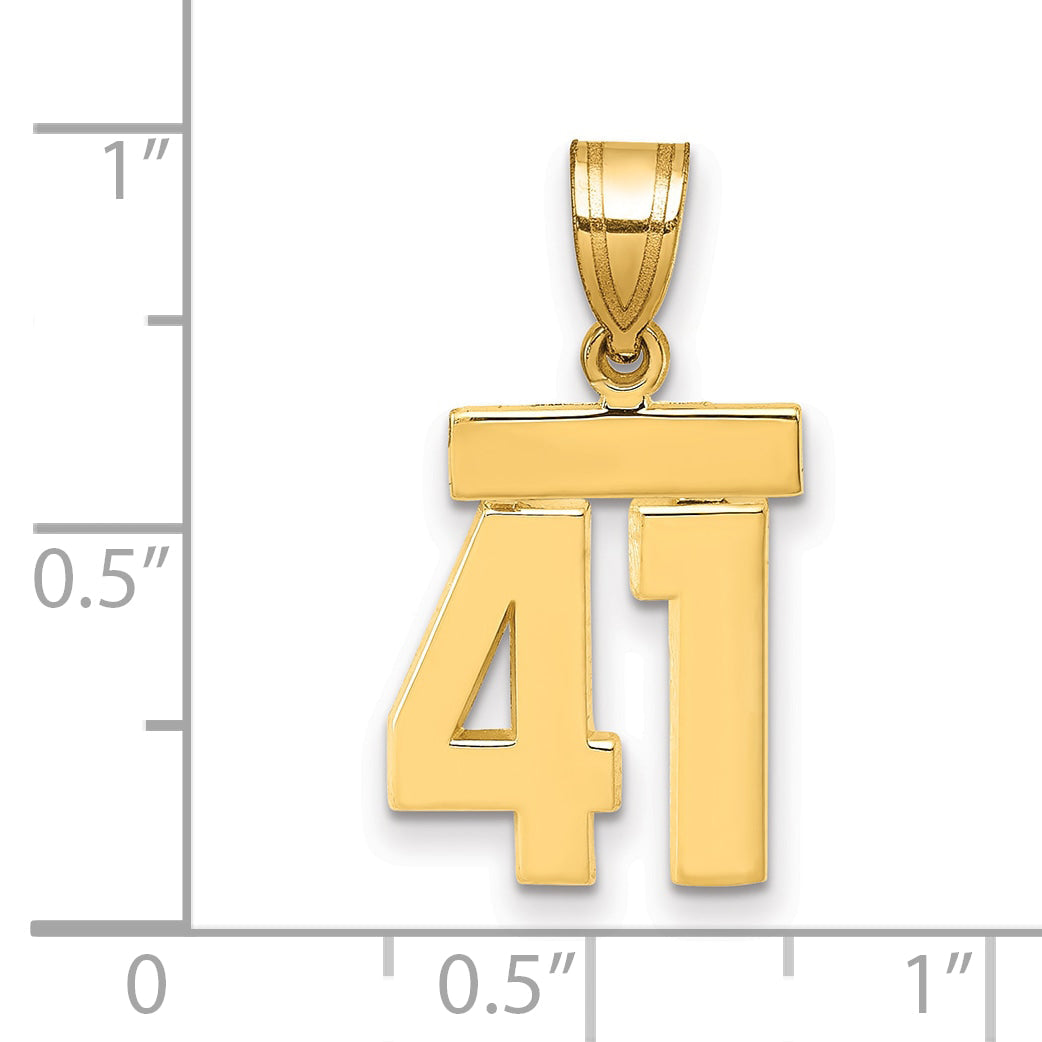 10K Yellow Gold Small Polished Number 41 Charm