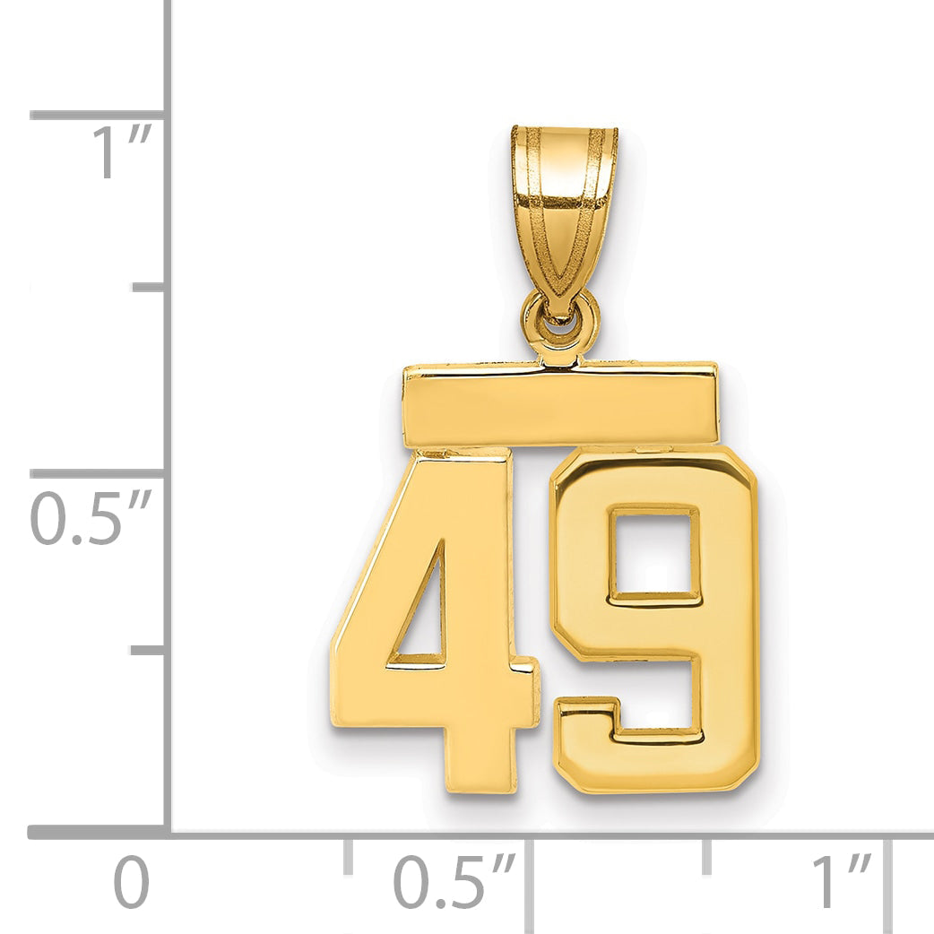10K Yellow Gold Small Polished Number 49 Charm