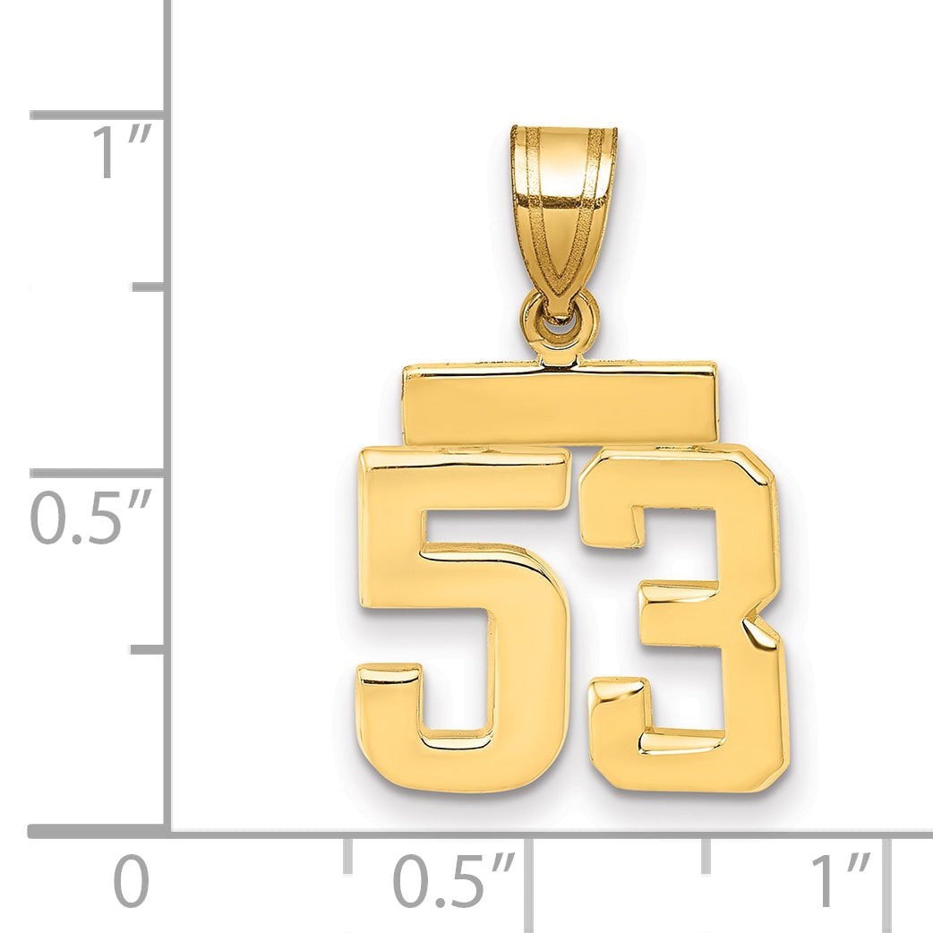 10K Yellow Gold Small Polished Number 53 Charm