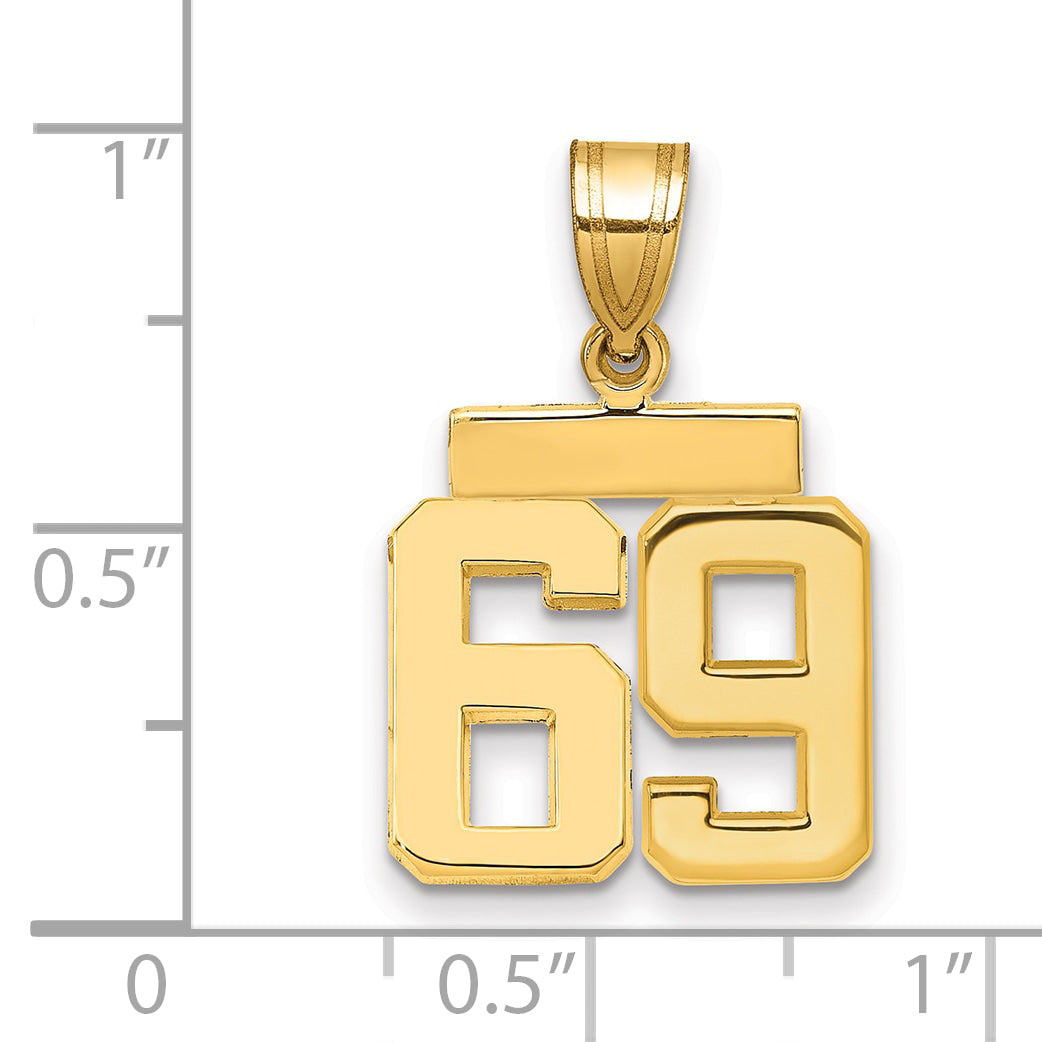 10K Yellow Gold Small Polished Number 69 Charm