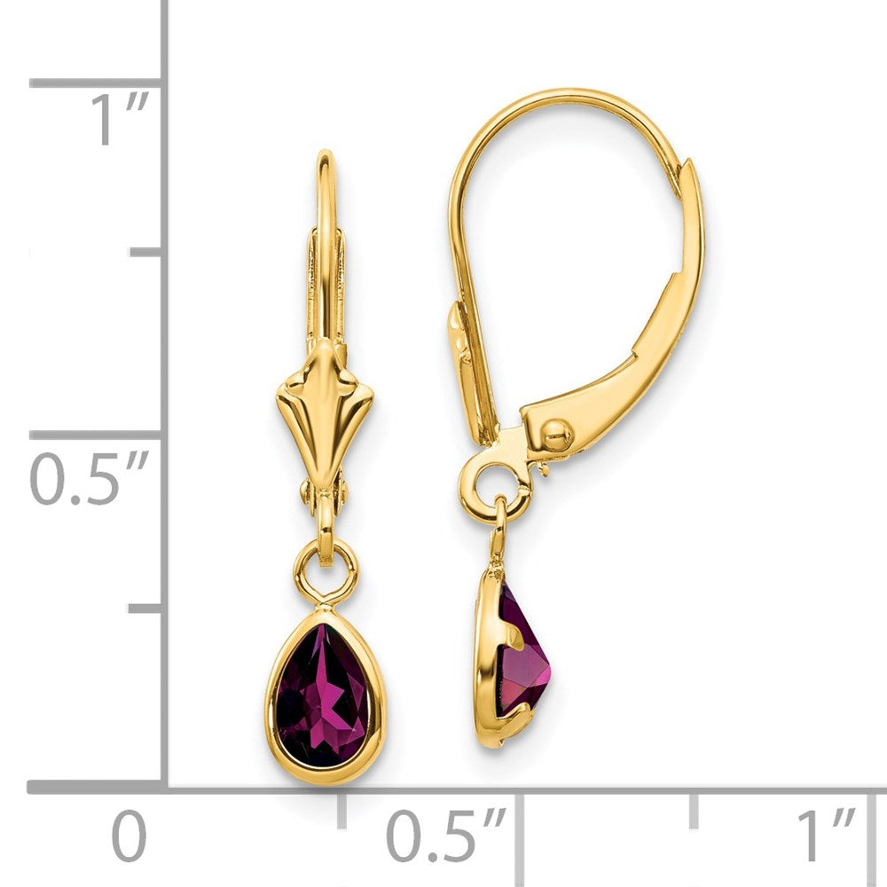 14K Yellow Gold 6X4mm Rhodolite Garnet/June Earrings