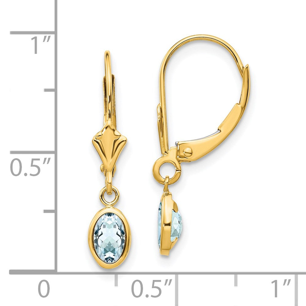 14K Yellow Gold 6X4mm Aquamarine/March Earrings