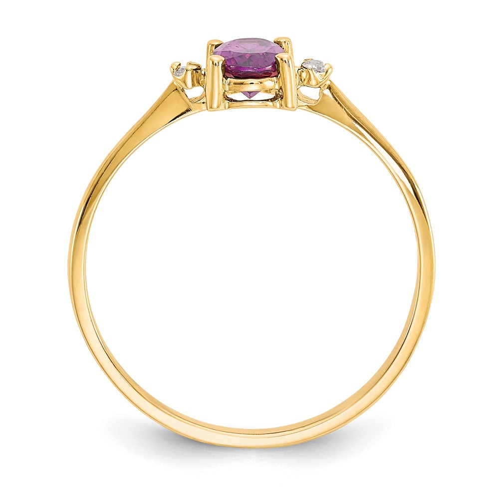 14K Yellow Gold Diamond & Rhodolite Garnet Birthstone Ring