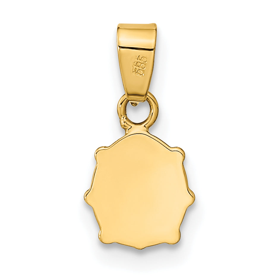 14k Yellow Gold 14K Polished Red/Black Enamel Ladybug Pendant