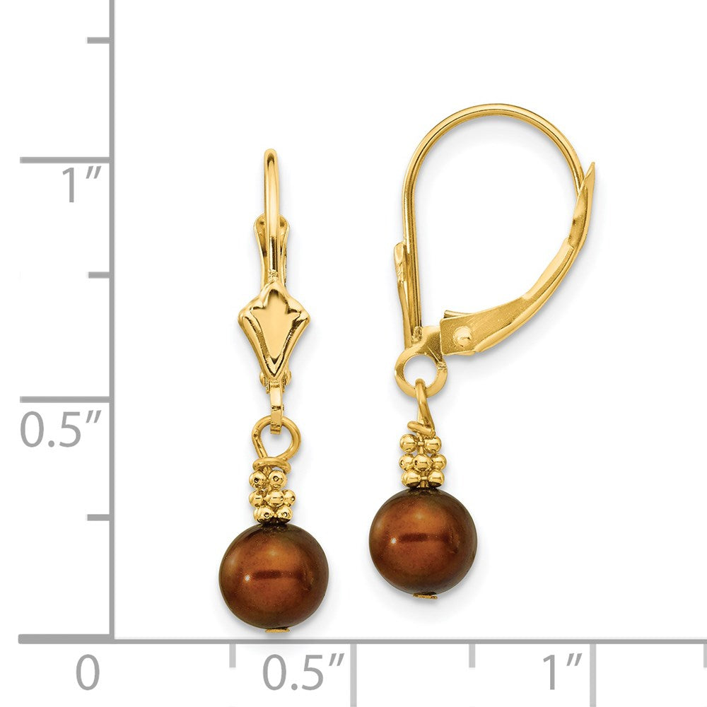 14K Yellow Gold 5 6mm Brown Semi Round Freshwater Cultured Pearl Dangle Leverback Earrings