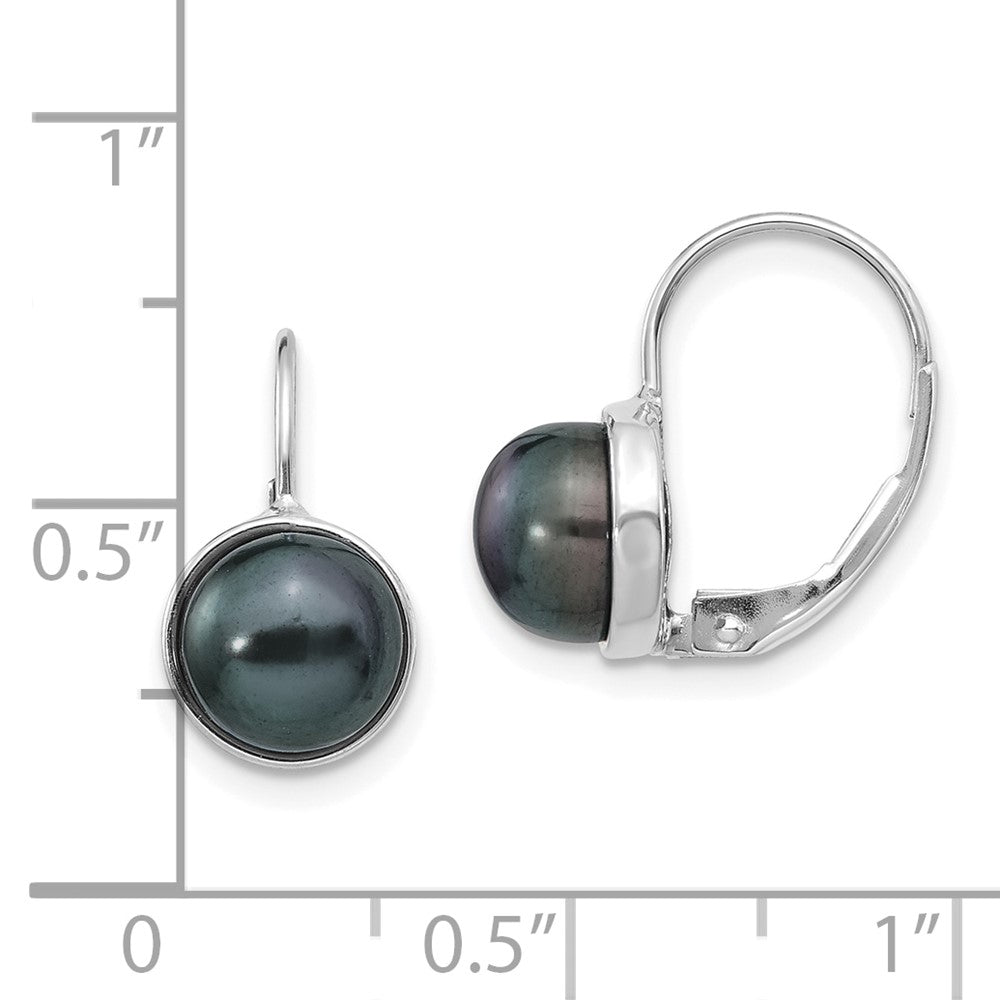 14K White Gold 6 7mm Black Button Freshwater Cultured Pearl Leverback Earrings