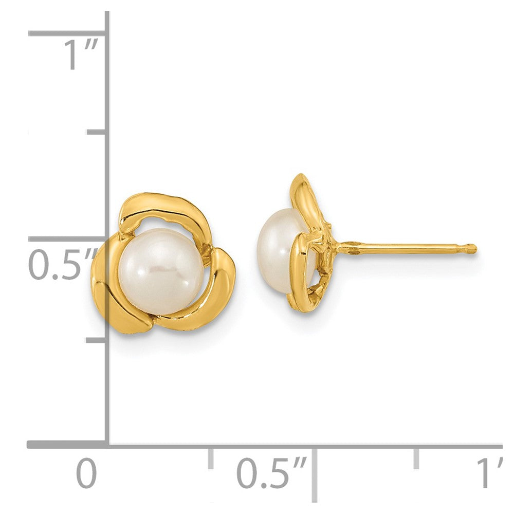 14K Yellow Gold 5 6mm White Button Freshwater Cultured Pearl Post Earrings