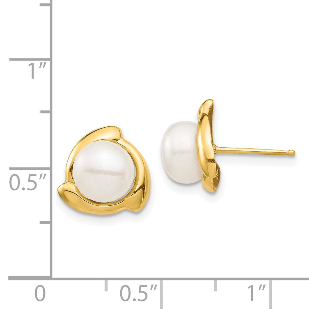 14K Yellow Gold 7 8mm White Button Freshwater Cultured Pearl Post Earrings