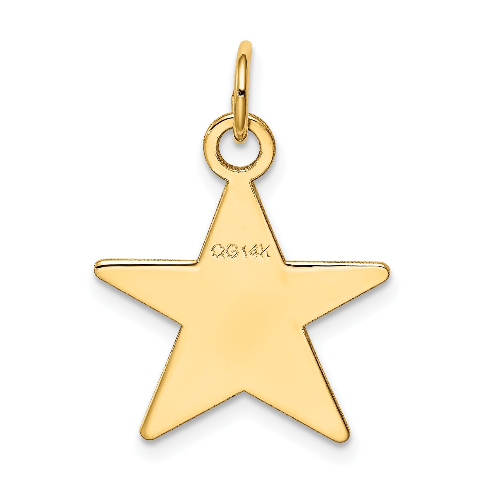 14k Yellow Gold 14K Star Disc Charm