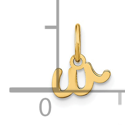 14k Yellow Gold 14KY Lower case Letter W Initial Charm
