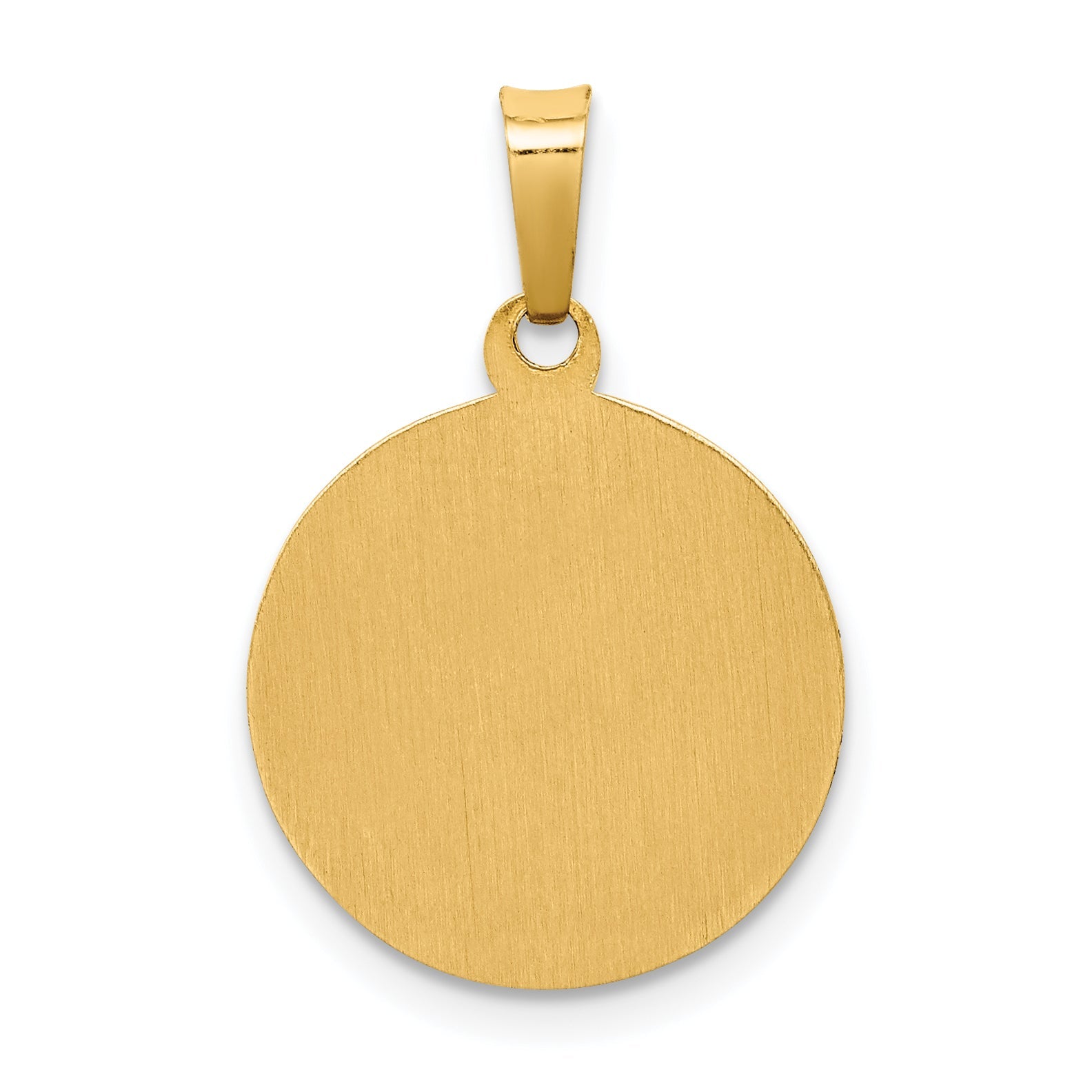 14k Yellow Gold 14k Polished and Satin St Francis Medal Hollow Pendant