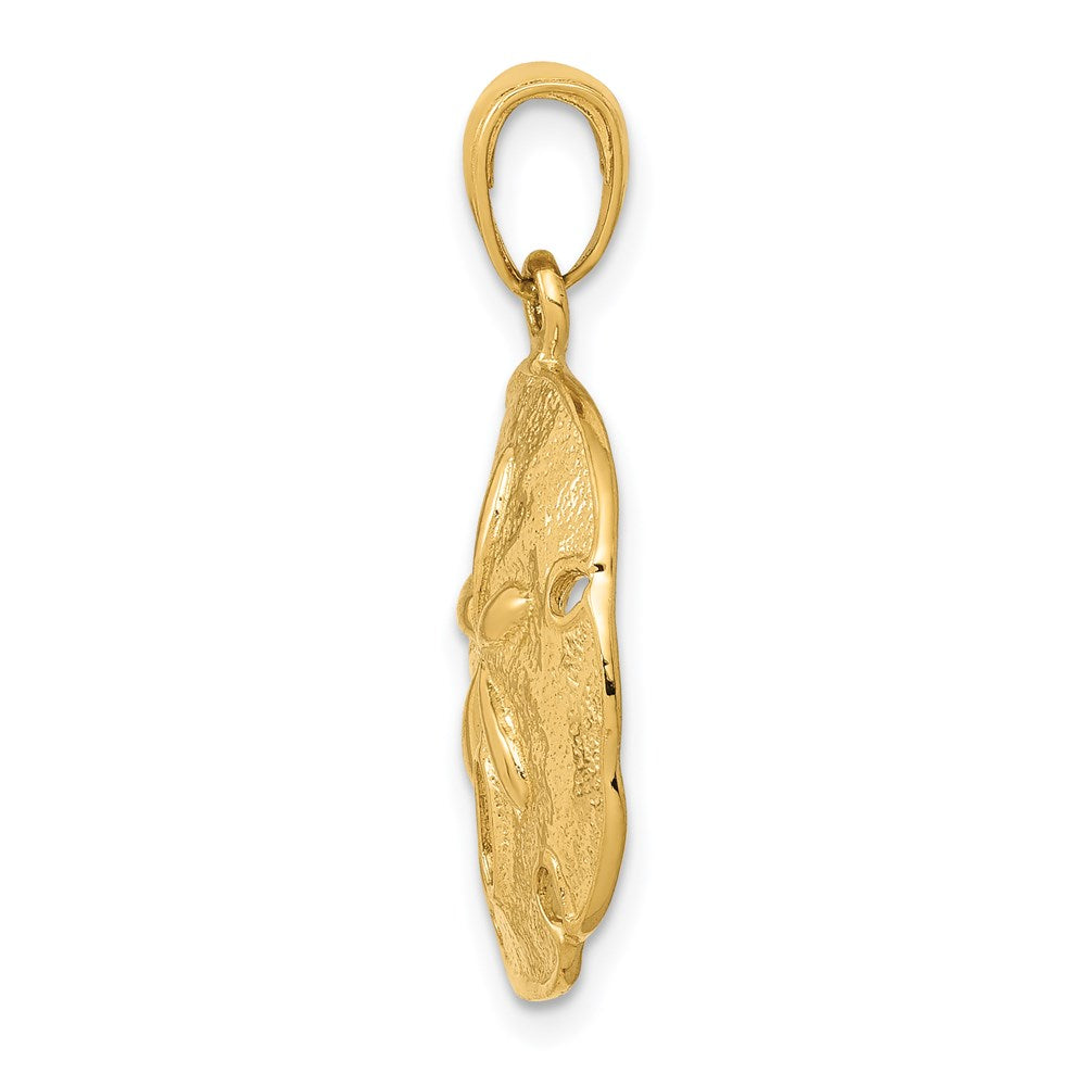 14k Yellow Gold Sand Dollar Pendant