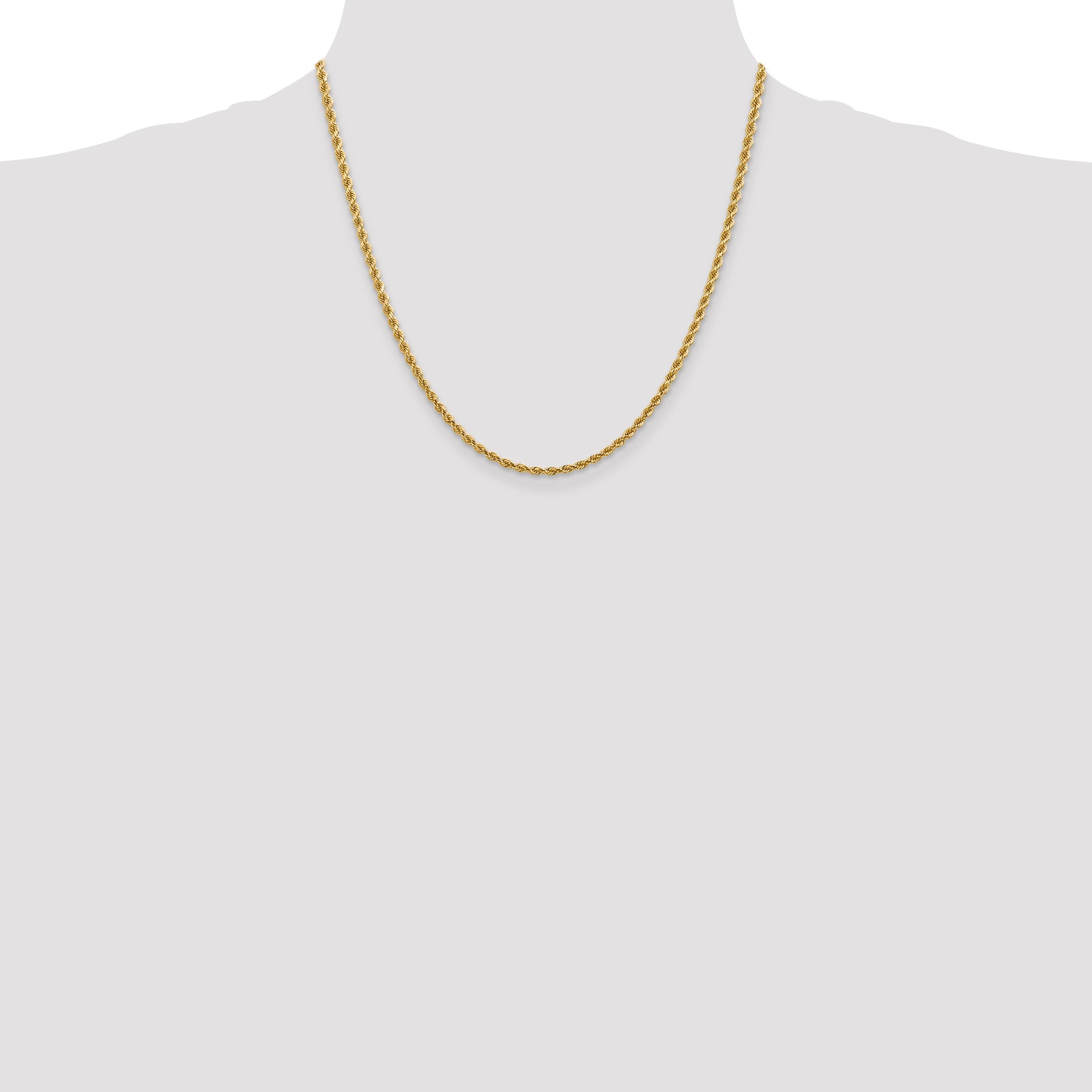 14k Yellow Gold 20 inch 2.75mm Diamond-cut Rope with Lobster Clasp Chain Necklace