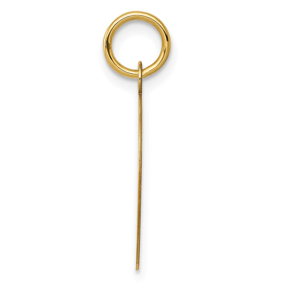 10K Yellow Gold Record Album Charm