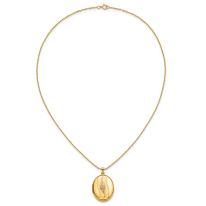 10k Tri Color w/ 12k Accents and 14k Gold-filled Chain Black Hills Locket