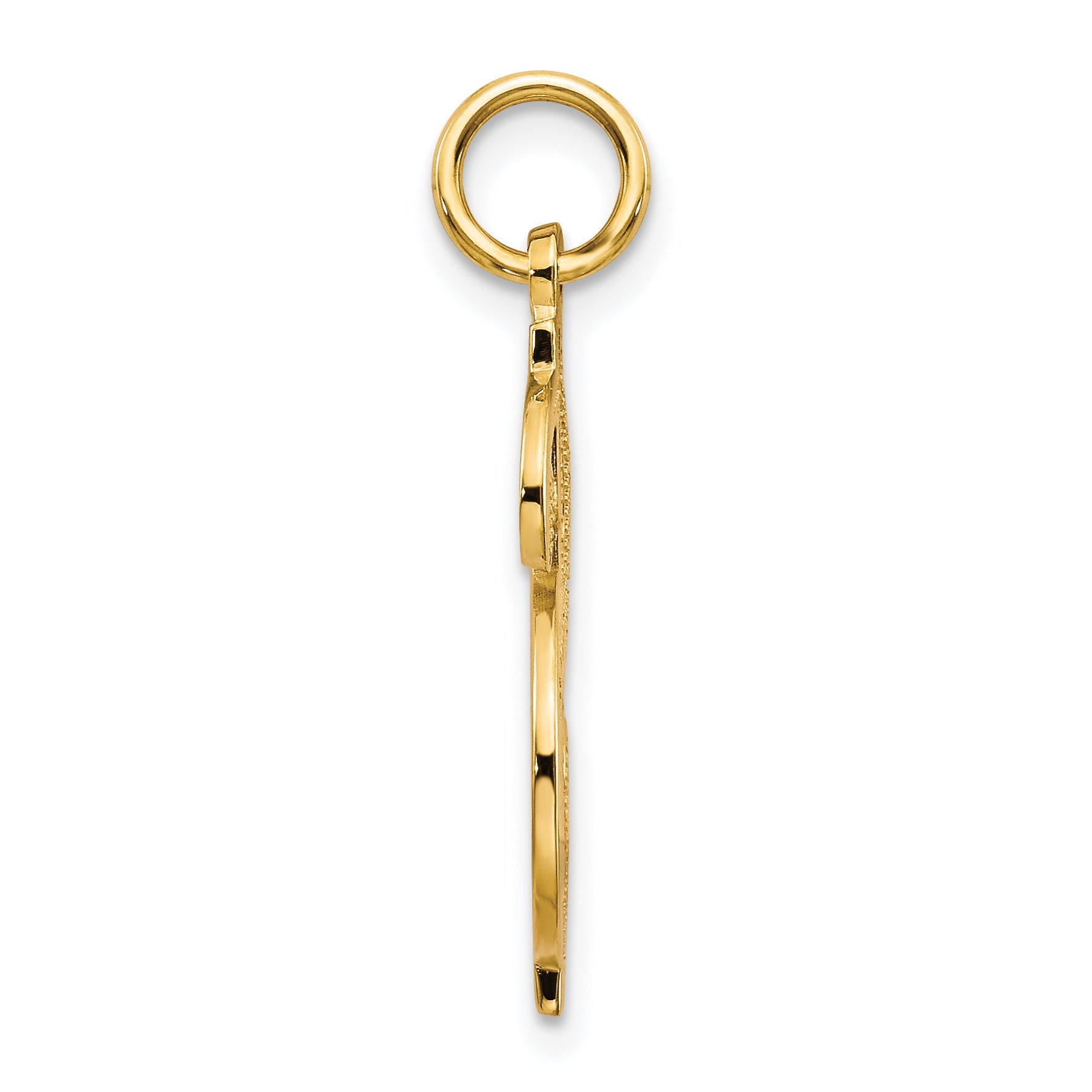 10k Yellow Gold Solid Polished Dollar Sign Charm