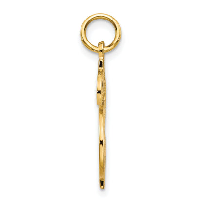 10k Yellow Gold Solid Polished Dollar Sign Charm