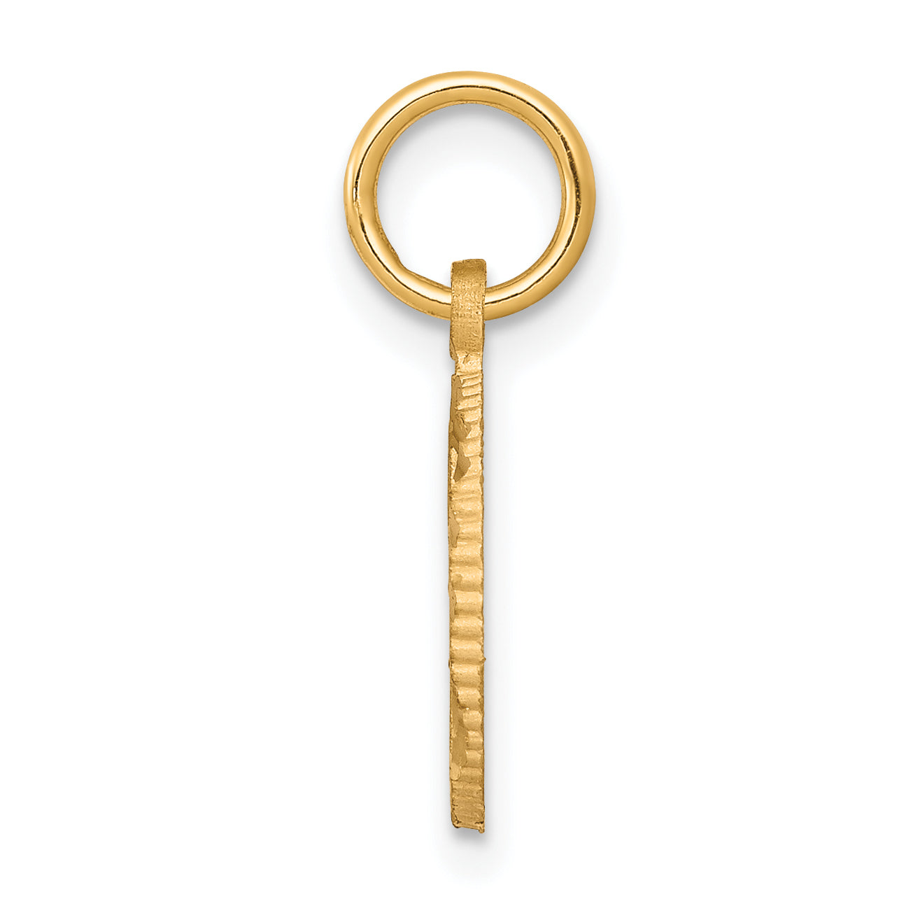 10k Yellow Gold Solid Flat-Backed Cross in Circle for Eternal Life Charm