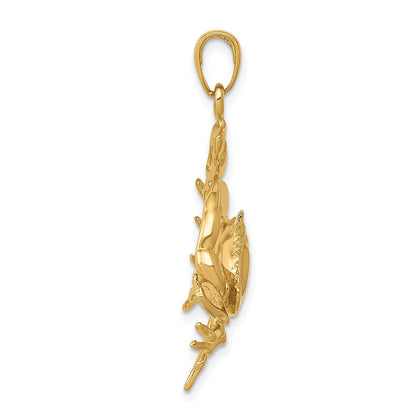 10K Yellow Gold Stone Crab With Claw Extended Pendant
