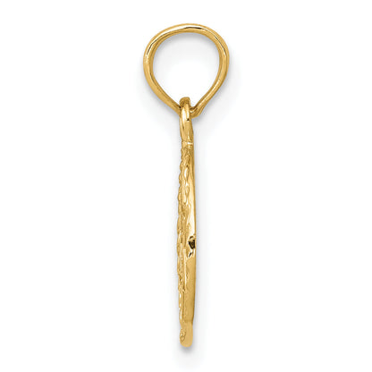 10K Yellow Gold 10K Star Of David In Circle Frame Pendant