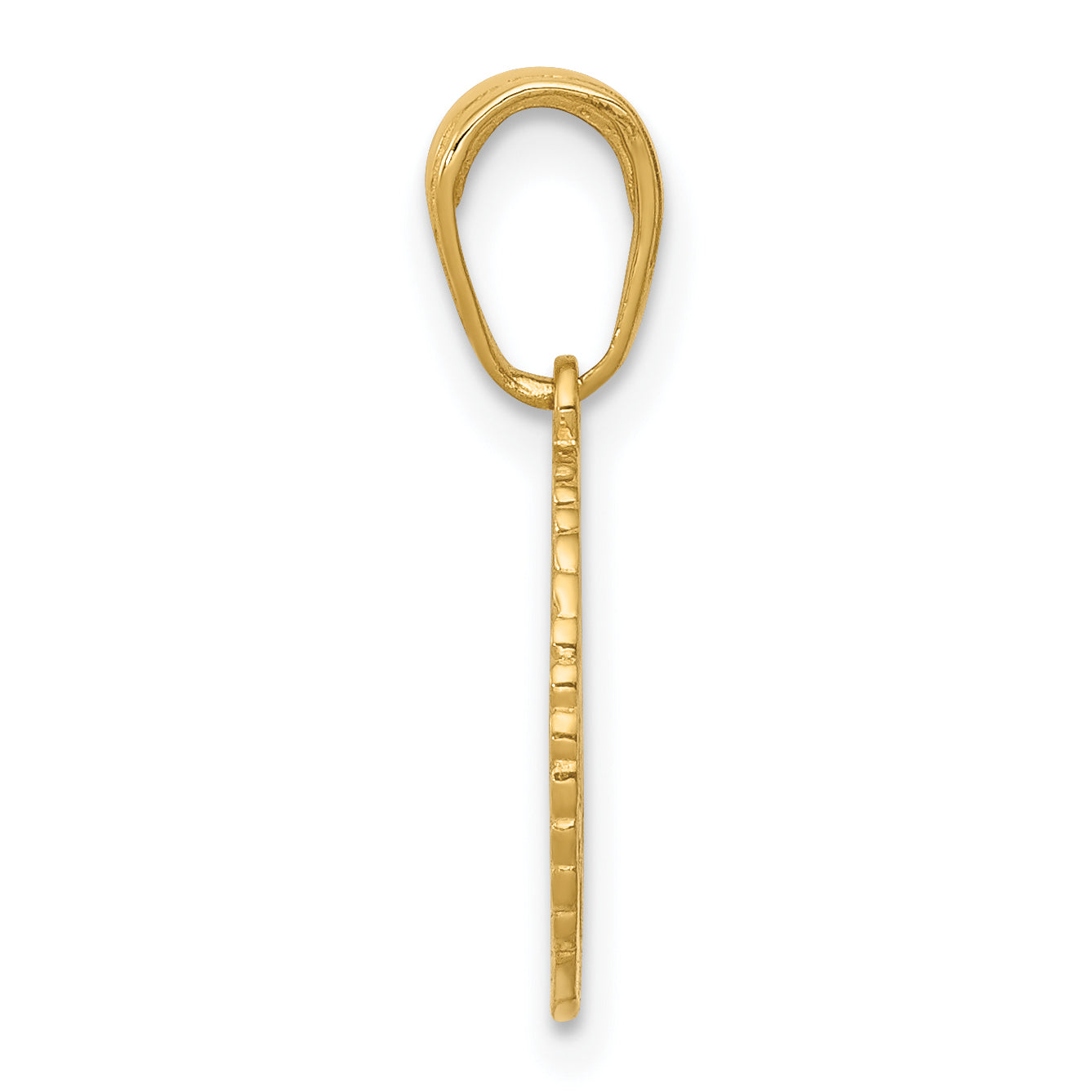 10K Yellow Gold 10K Star Of David And Chai In Circle Pendant