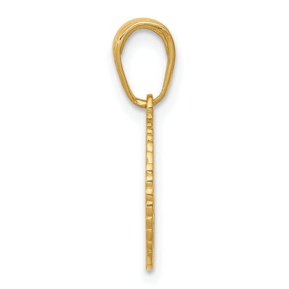 10K Yellow Gold 10K Star Of David And Chai In Circle Pendant