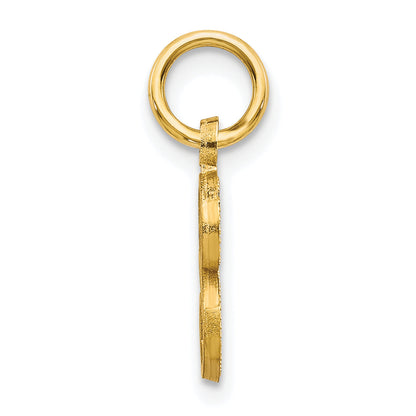 10K Yellow Gold Initial S Charm