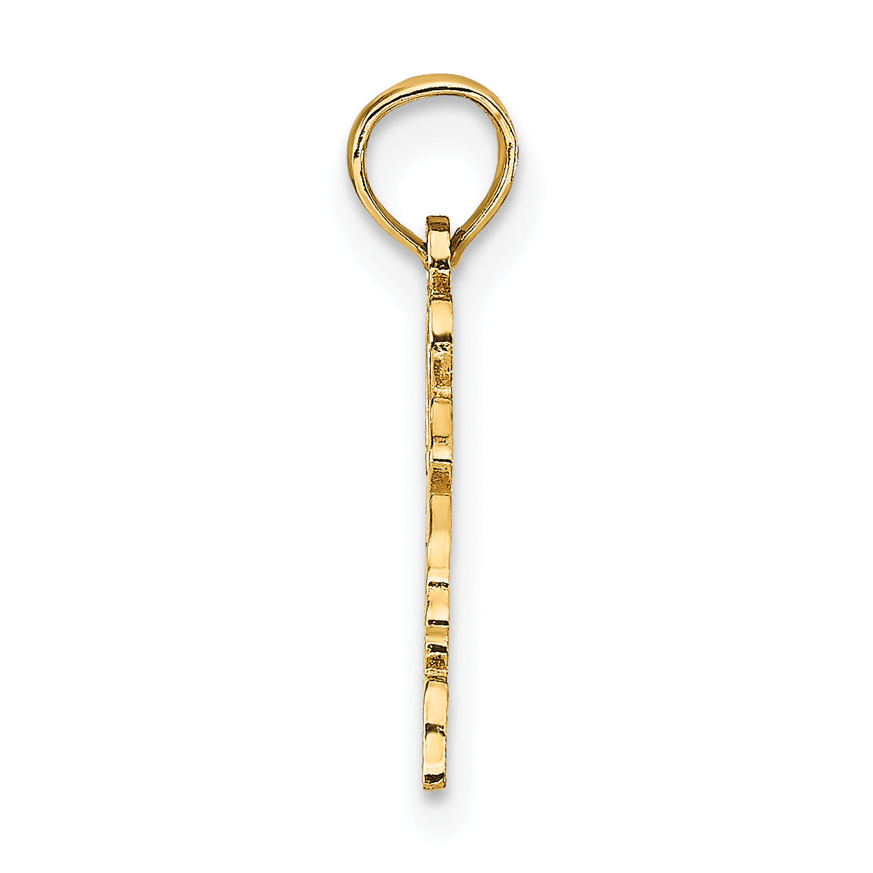10K Yellow Gold 10K Solid Virginia State Pendant