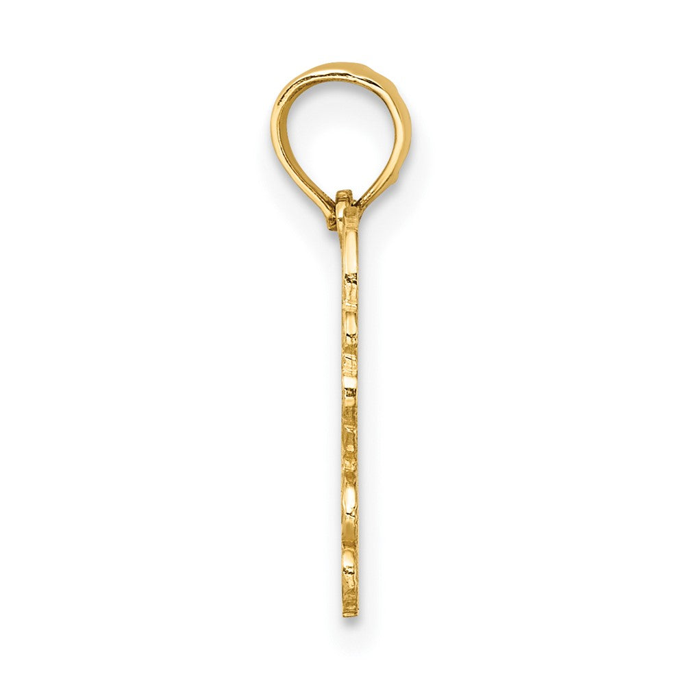 10K Yellow Gold 10K 100% Cancer Zodiac Charm