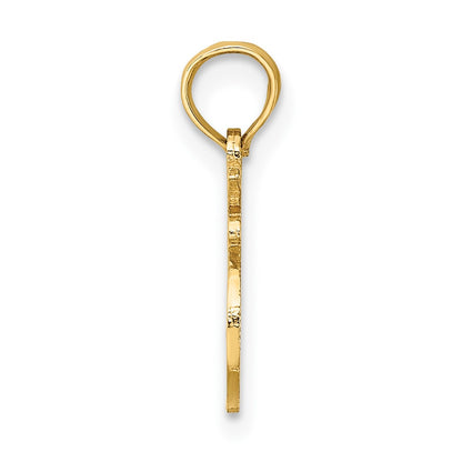 10K Yellow Gold 10K 100% Leo Zodiac Charm