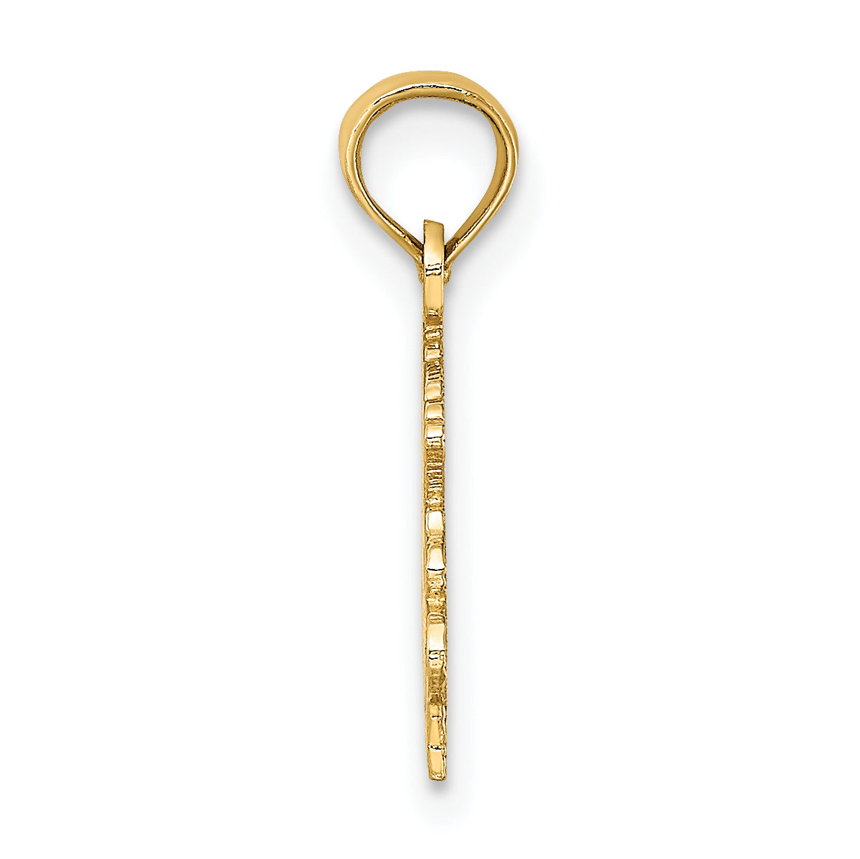 10K Yellow Gold 10K 100% Capricorn Zodiac Charm