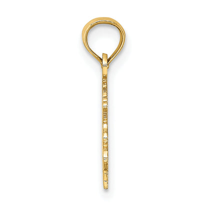 10K Yellow Gold 10K 100% Capricorn Zodiac Charm