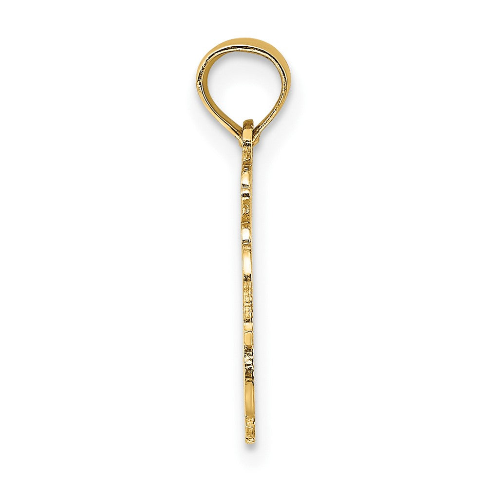 10K Yellow Gold 10K 100% Aquarius Zodiac Charm