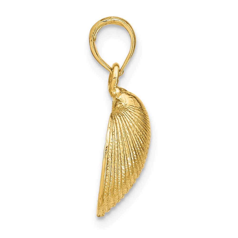 10K Yellow Gold 10K Medium Clam Shell Pendant