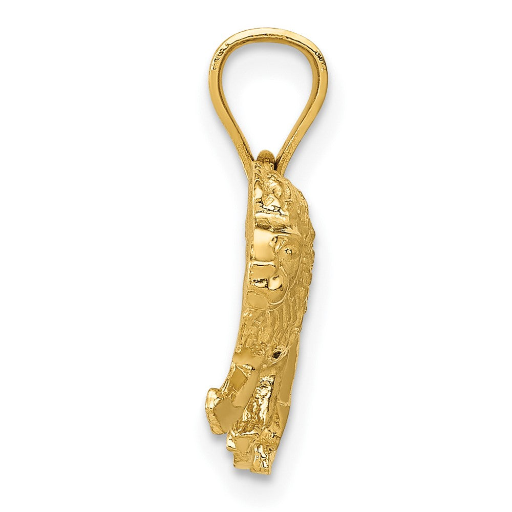 10K Yellow Gold 10K Diamond-Cut Lion Pendant