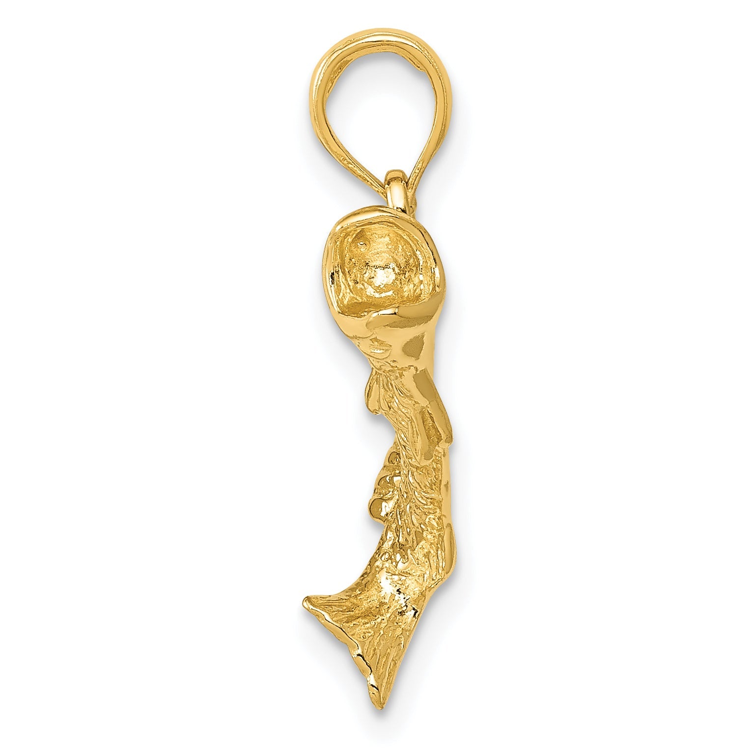 10K Yellow Gold 10K Polished & Textured Bass Fish Pendant