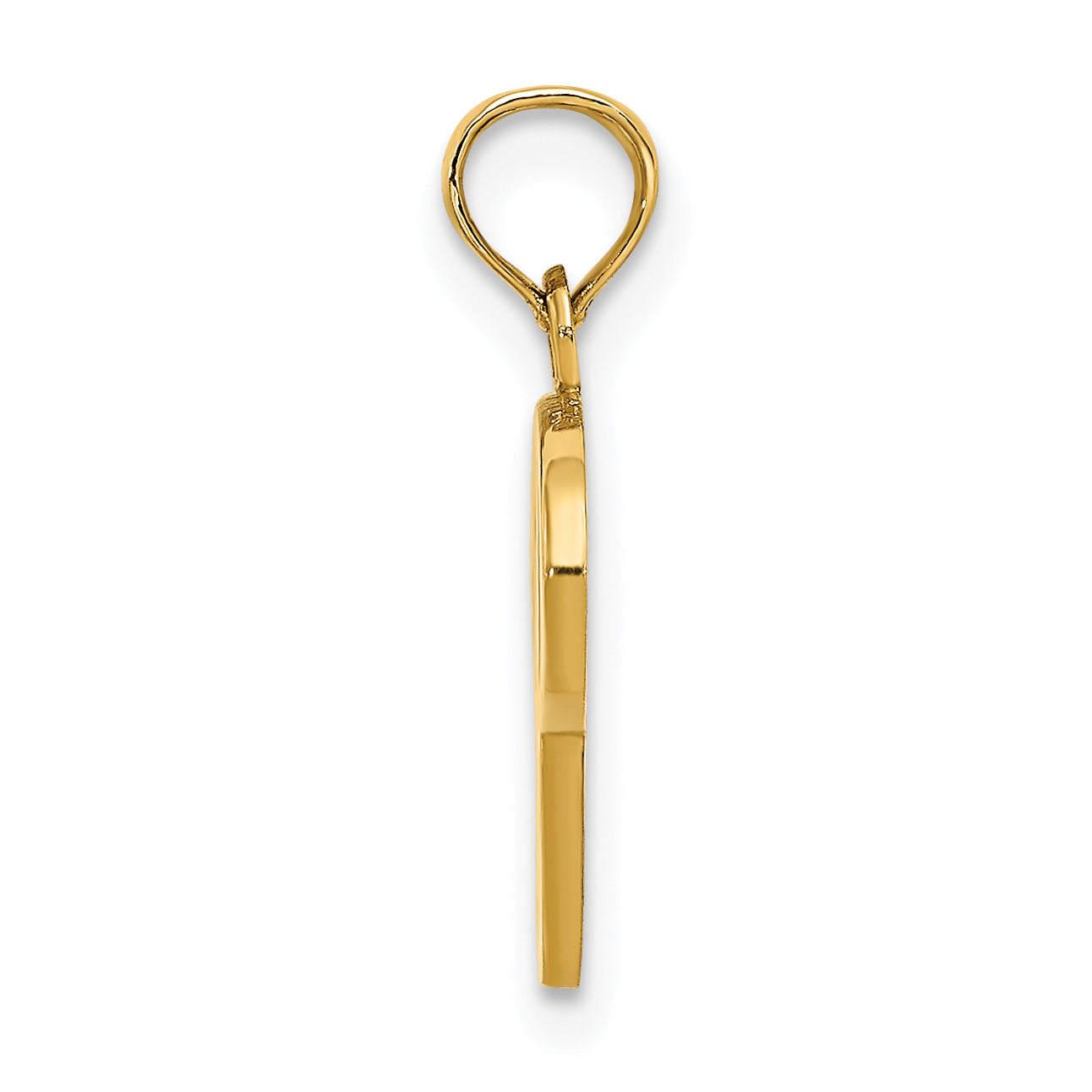 10K Yellow Gold 10K Polished P Script Initial Charm