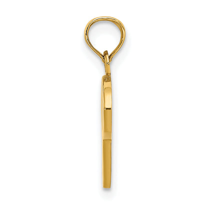 10K Yellow Gold 10K Polished P Script Initial Charm