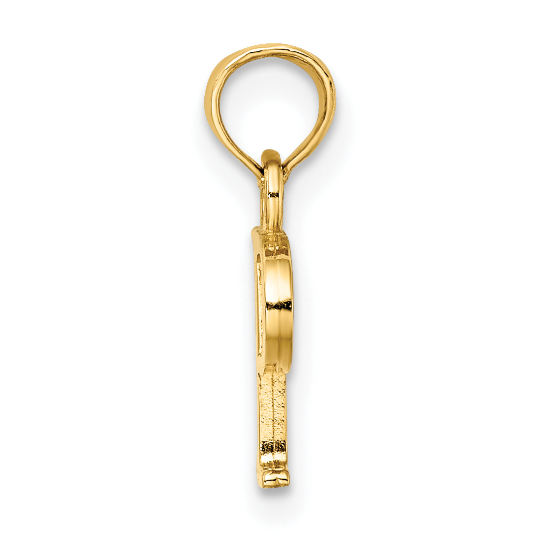 10K Yellow Gold 10K Polished P Block Initial Charm