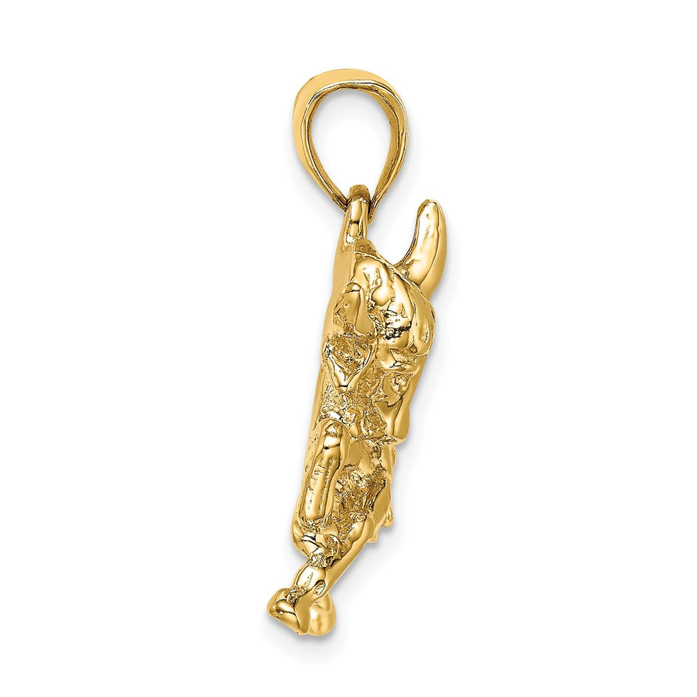10K Yellow Gold 10K Polished Raging Bull With Horns Charm