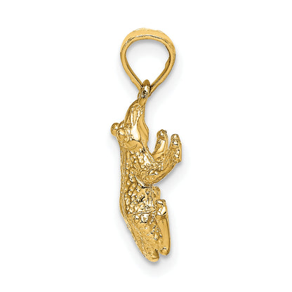 10K Yellow Gold Textured Top View Frog Charm