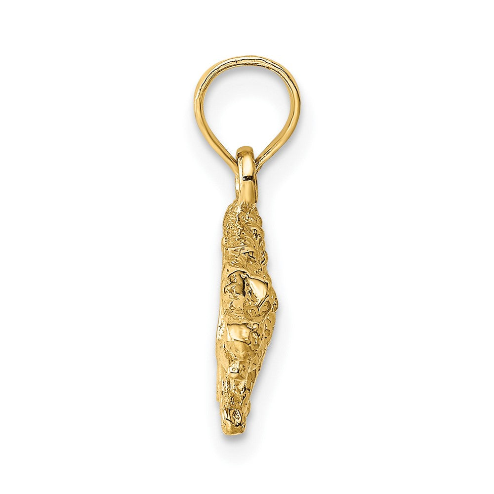 10K Yellow Gold 10K 2-D Textured Alligator Charm