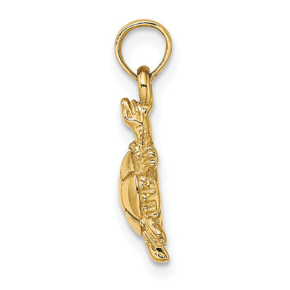 10K Yellow Gold 10K 3-D Polished Land Turtle Charm