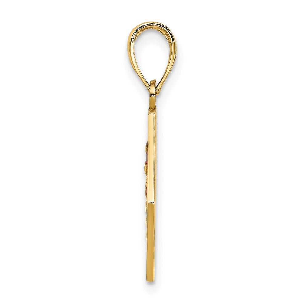 10K Yellow Gold Enameled Medical Disc Pendant