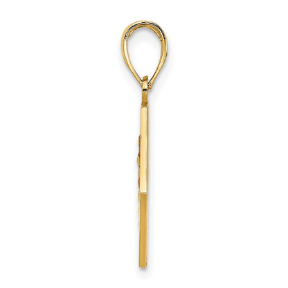 10K Yellow Gold Enameled Medical Disc Pendant