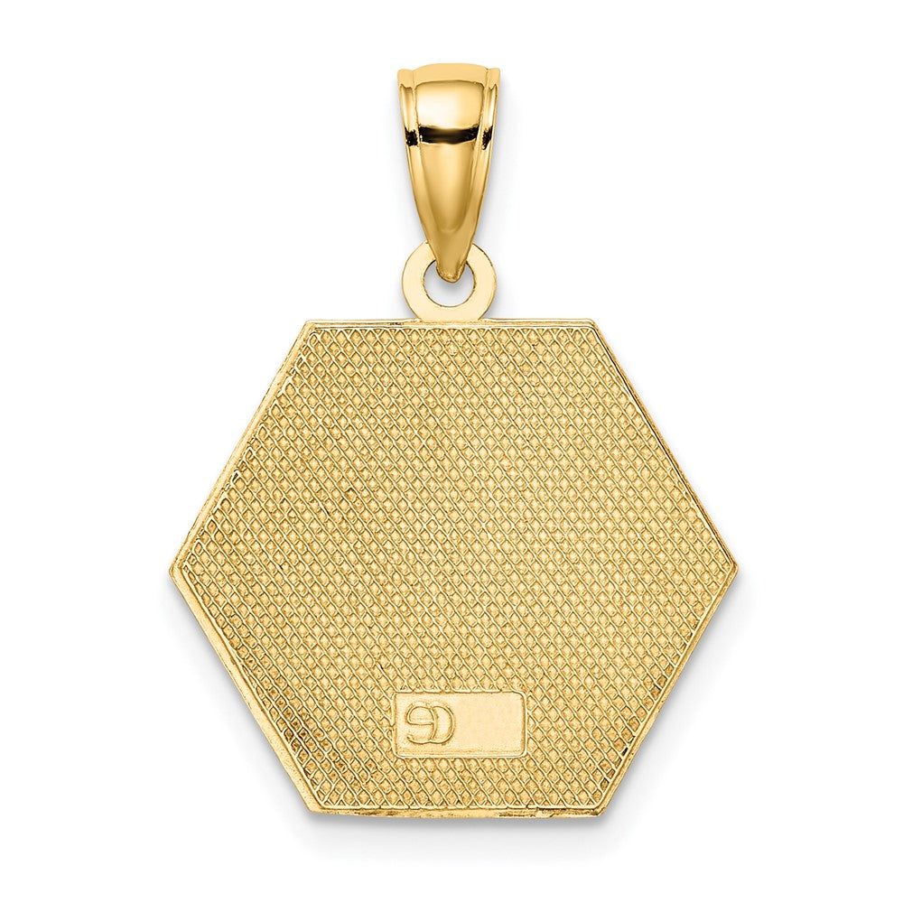 10K Yellow Gold Enameled Medical Disc Pendant