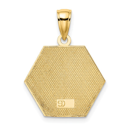 10K Yellow Gold Enameled Medical Disc Pendant