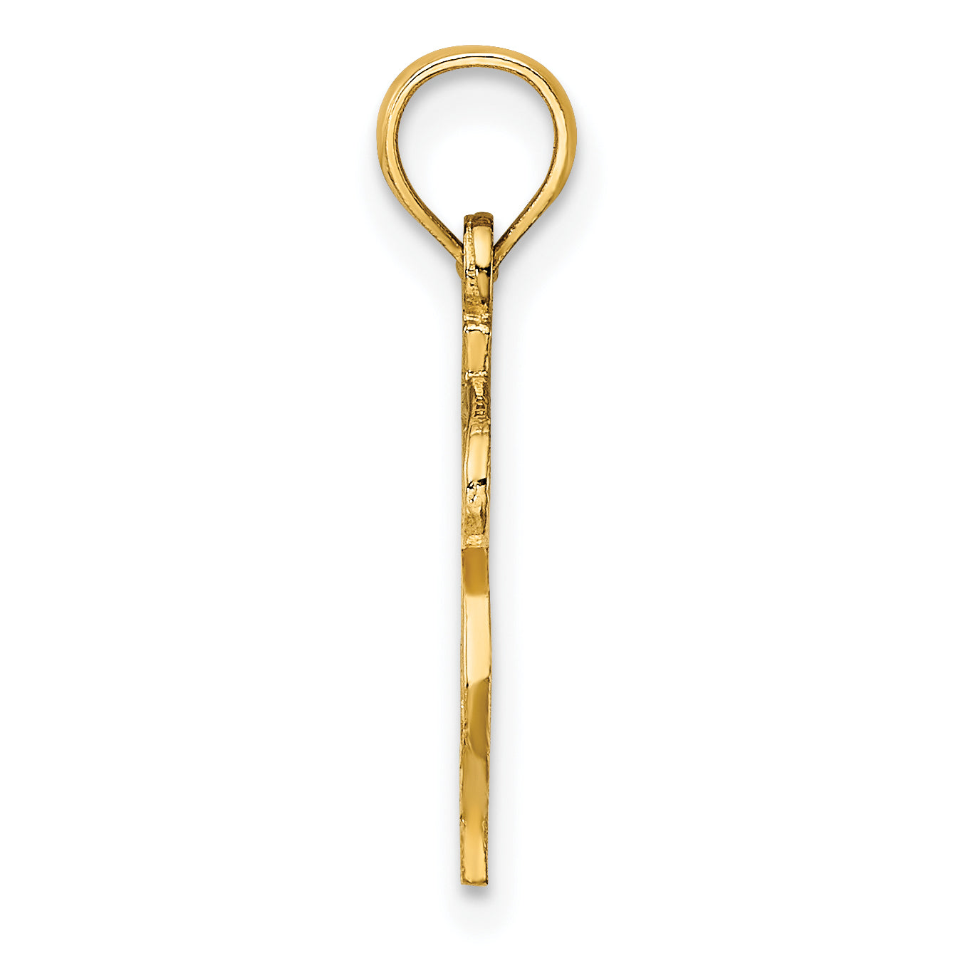 10K Yellow Gold 10K Dollar Sign Charm